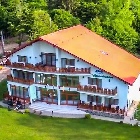 Casuta Din Padure Bed & Breakfast Dragus Exterior photo