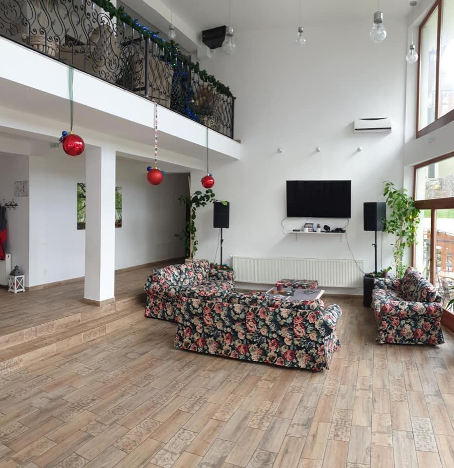 Casuta Din Padure Bed & Breakfast Dragus Exterior photo