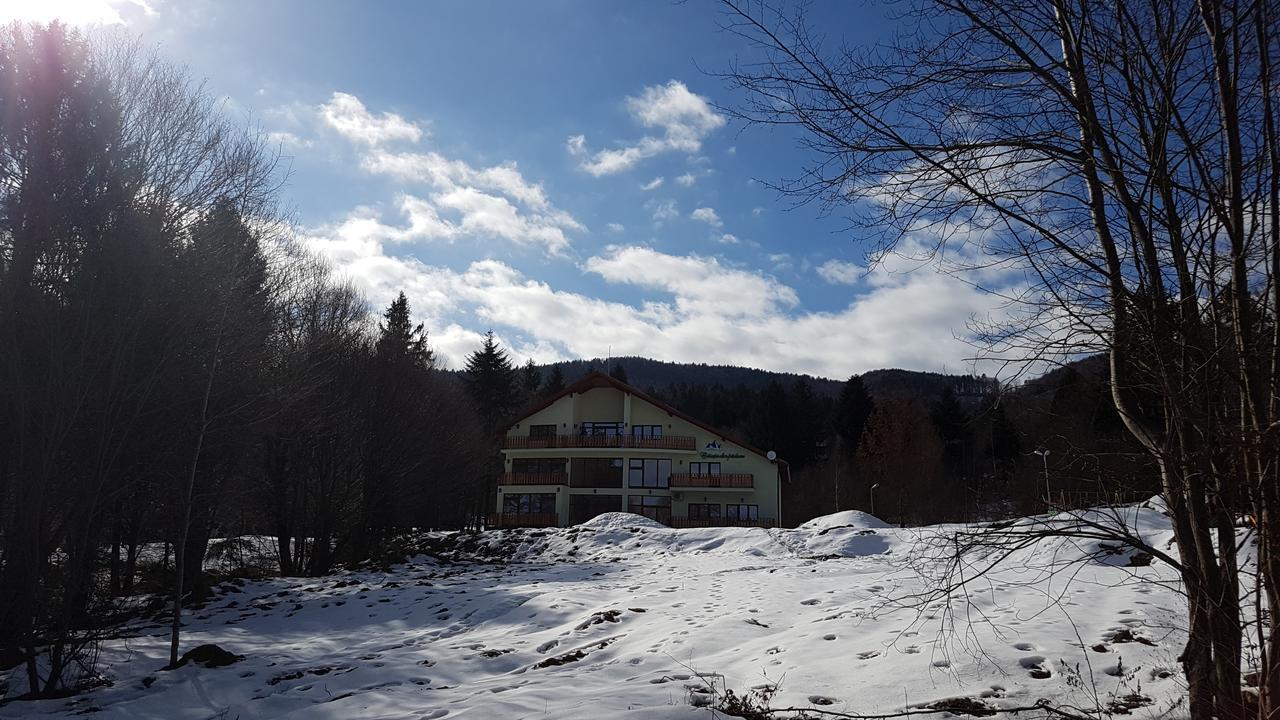 Casuta Din Padure Bed & Breakfast Dragus Exterior photo